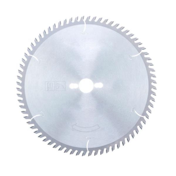 O diamante 48 na lâmina de serra circular para o corte de madeira com carboneto derrubou Diamond Cutting Segmented Saw Blade