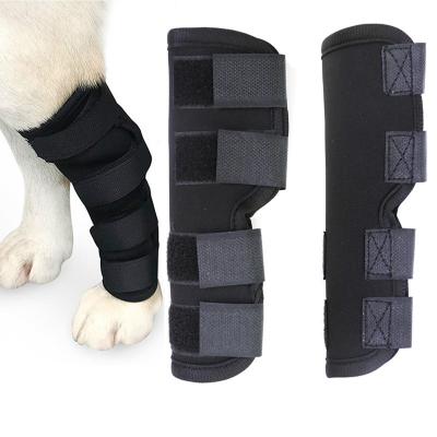 Pet Knee Pad 