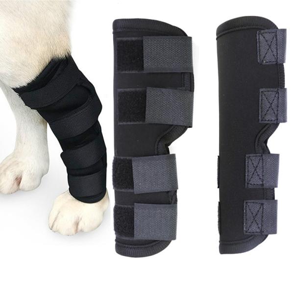Pet Knee Pad 