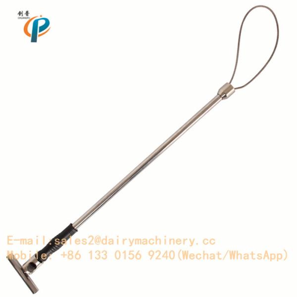 Comprimento de aço inoxidável do coletor 65cm do porco da exploração agrícola de porco do dispositivo da maquinaria da leiteria do suporte do porco