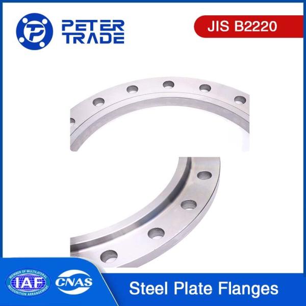 Stainless Steel Plate Flanges JIS B2220 30K Welding Raised Face Plate Blank Flange