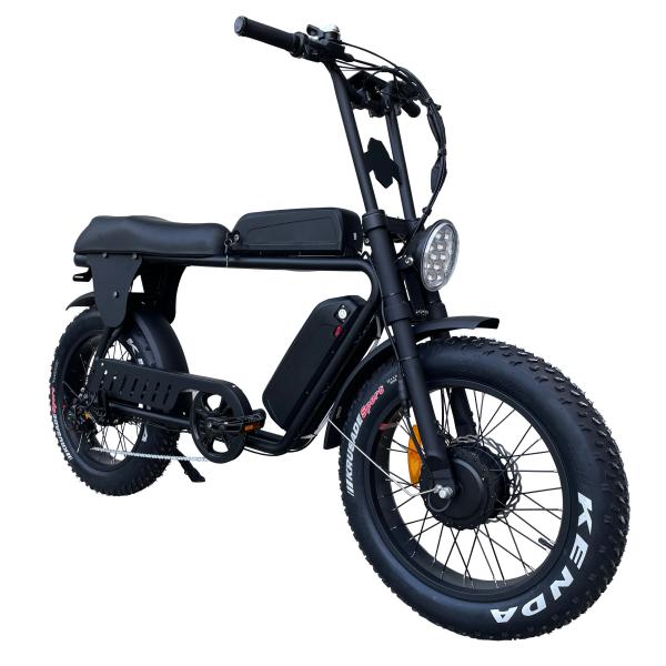 48V 150W Dual Motor Fat Tire Electric Bike Hydraulic Disc Brakes Ebike For Adults