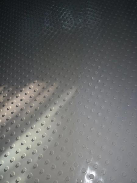 Produto comestível lustroso liso da gasolina da correia transportadora do Pvc