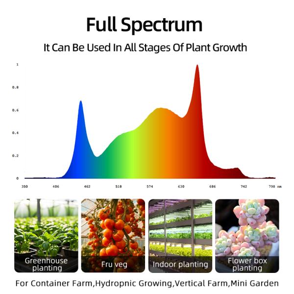 Full Spectrum 4×4ft 6 Bar 720W LED Grow Light High Efficiency SAMSUNG LM281B for Indoor Plant Cultivation