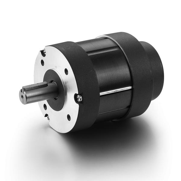 Faradyi Customized High Quality Bldc Motorbldc Motor  For Electric Paramotor Dc Brushless Electr Motor For Generate