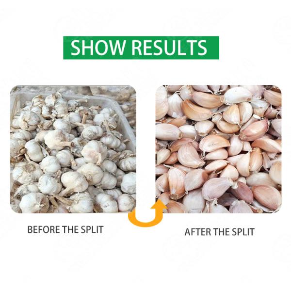 large capacity Garlic splitting machine garlic cloves separator garlic separate bulb breaker machine