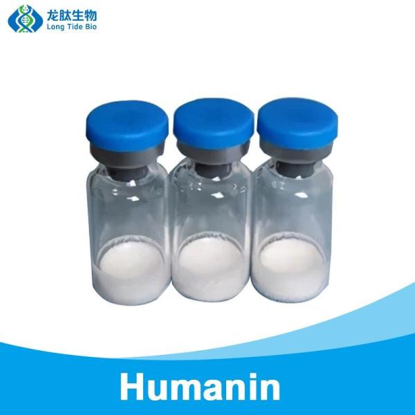                    Wholesale Peptides Lyophilized Powder Humanin CAS 330936-69-1 with High Purity             