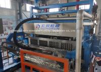 Ligne complètement automatique biens de production à la machine de plateau d'oeufs pour le carton d'oeufs/fruit