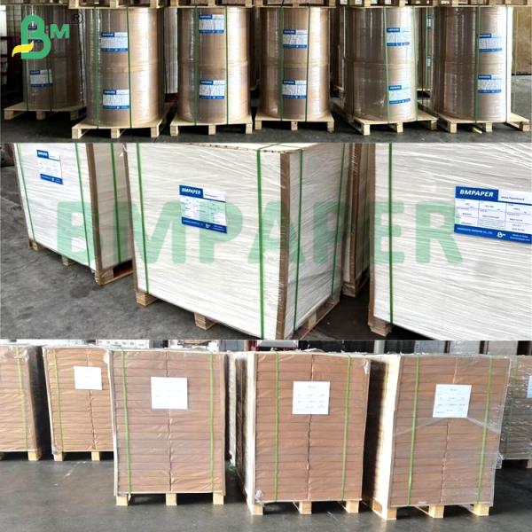 Food Grade Noodle Bowl Paper Board 700mm x 1000mm 200g + 20g PE Coated Tableau de papier de 700 mm x 1000 mm 200 g + 20 g revêtu de PE