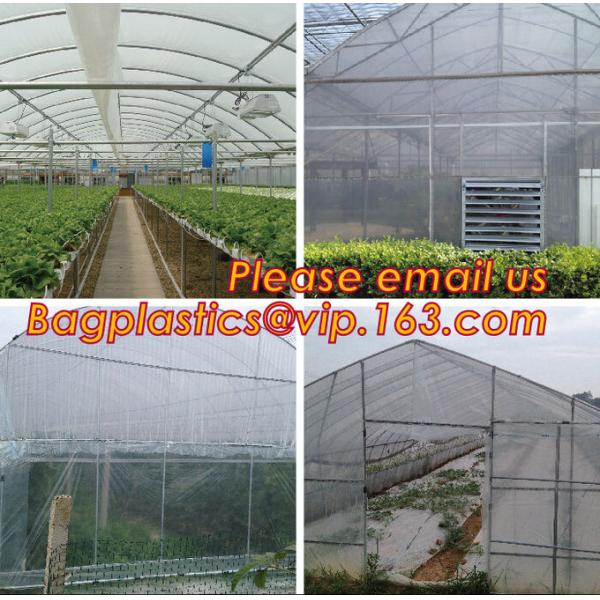 Agricultural Perforated Biodegradable Mulch Film Mulch Film Gardening Farming Film Outdoor Garden Landscape Weed Barrier