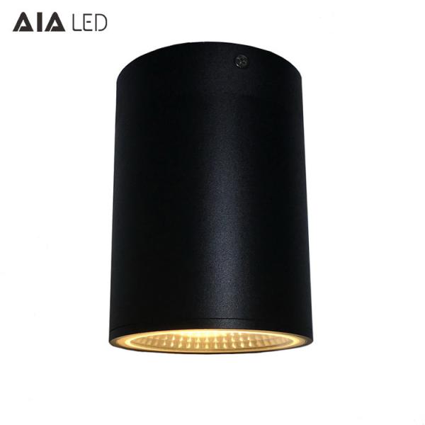 IP65 waterproof round DALI dimmable 40W COB LED downlight&outdoor LED down light