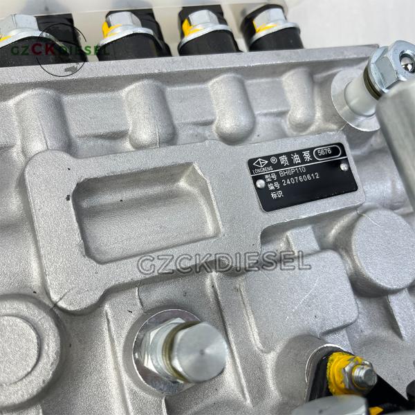 Fuel Injection Pump BH6P110 5676 BH6P120 P10Z010 P10Z002 For C6121 Engine