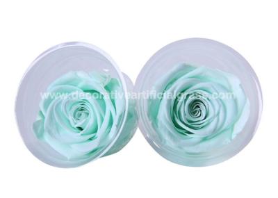 Ecuador Preserved Rose Head Long Life Roses For Party Event Decoration