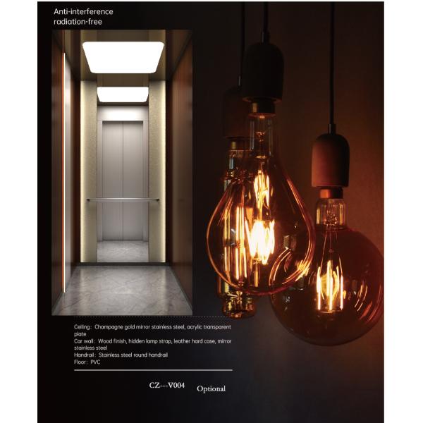 Небольшой тип лифт тракции нержавеющей стали подъема виллы монарха дома частный строя