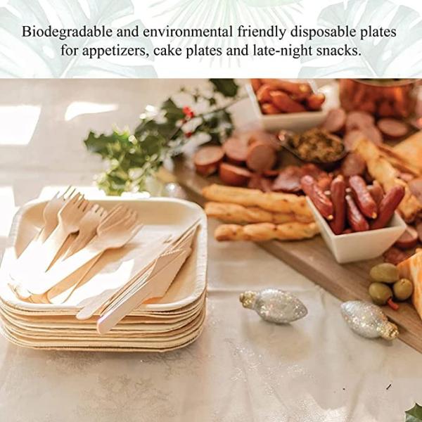 Biodegradable 6