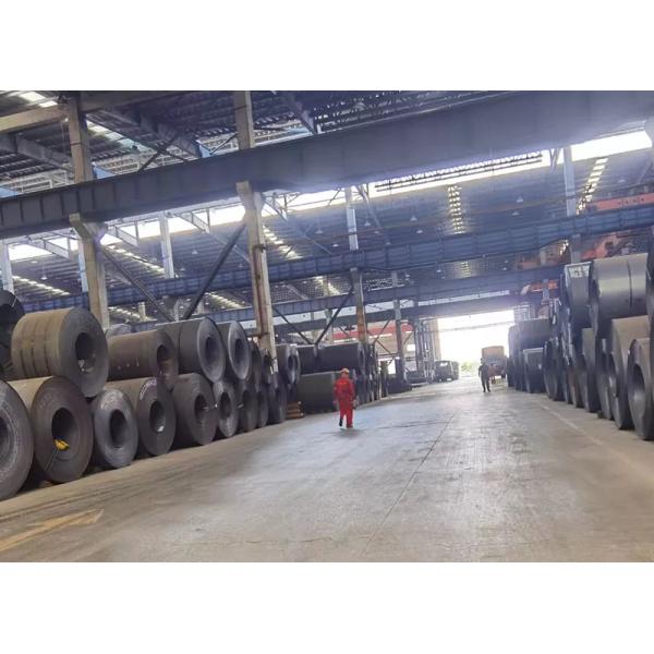 ASTM A36 Carbon Steel Coil Q195 Q235B SS400 S235JR Hot Rolled