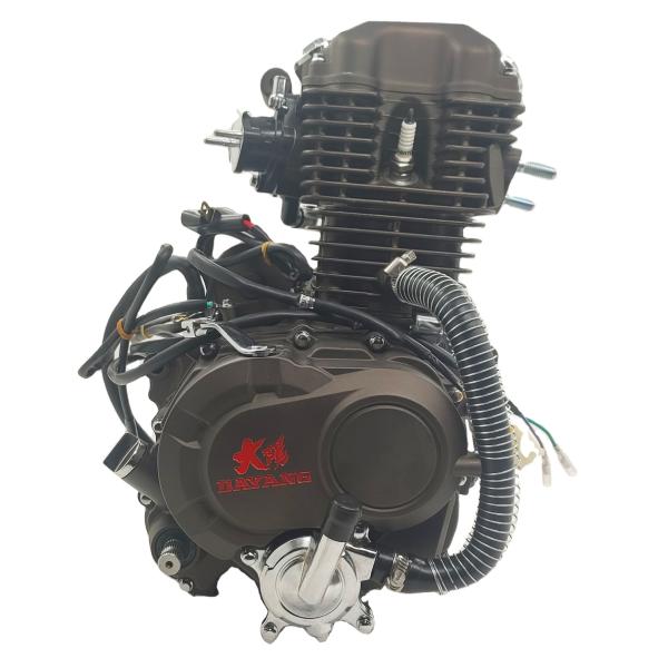 Max.Power 10.2/8000 Gasoline Tricycle Engines Assembly from DAYANG for Chinese Motorcycles