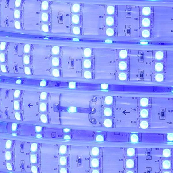 Luminous Flux 800LM/M RGB LED Flexible Strip Light Voltage DC110V/V220 with