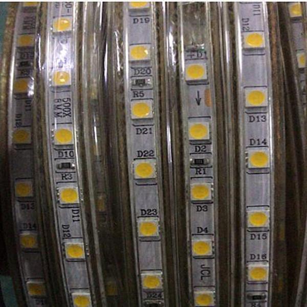 DC12V or DC24V IP68 LED Strip Light 5050 60 pcs of LED for Under Water