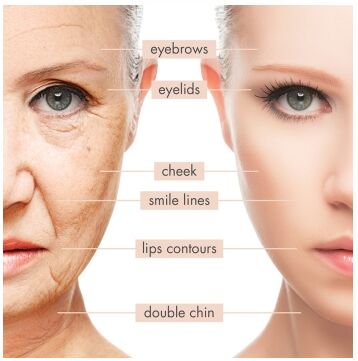 Painless Vertical To Skin Lift Hifu Machine , High Intensity Focused Ultrasound Machine