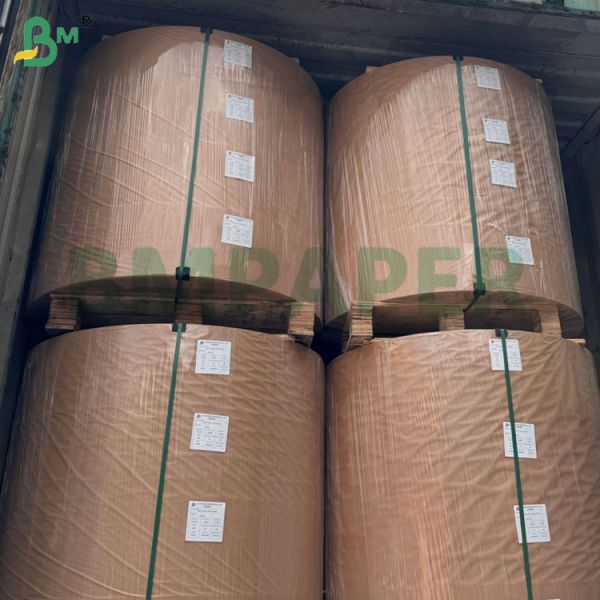 40gsm Food Grade Color Paper Roll For Making Cupcake Mould Muffin Holder