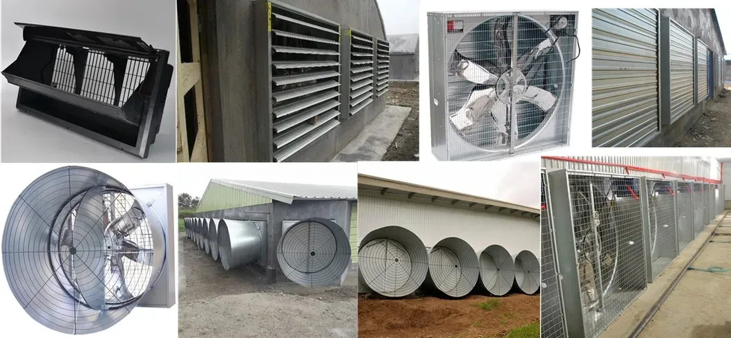 Poultry House Galvanized Exhaust Fan Strong Wind Ventilation Fan High Airflow