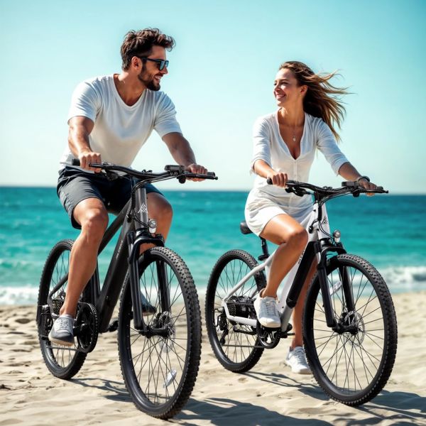 TST M612 Adult City Electric Bike 500W Brushless Rear Hub Motor 36V 7.8Ah Lithium Battery 7-Speed LCD Display Metal Frame