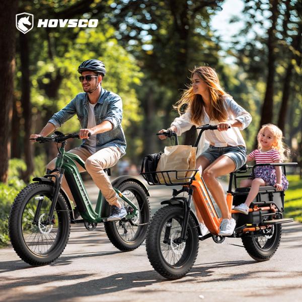OEM  ODM 250w 48V 15AH  Fat Tire Hub Motor Family Electric Cargo Hybrld Bike Electric City Bicycle Ebike