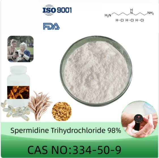 GMP factory produce high quality Spermidine Trihydrochloridepurity powder cas