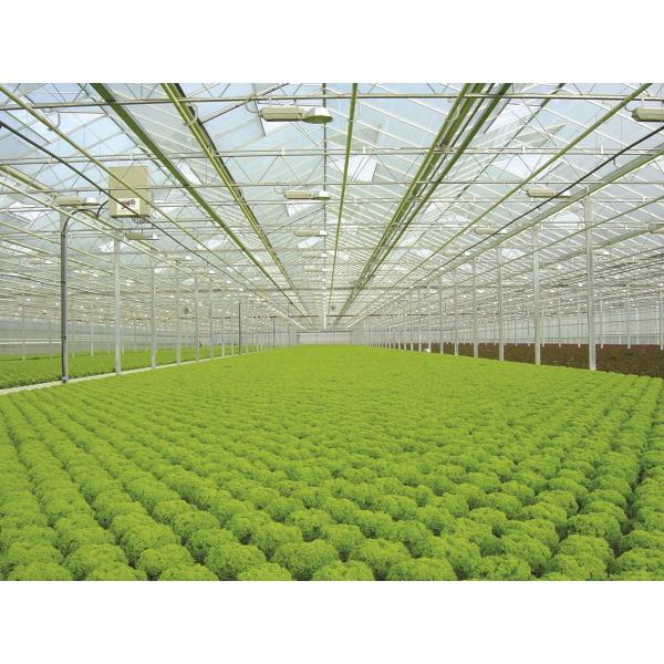 Wholesale high density soilless agriculture  PVC Hydroponic Tower