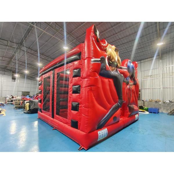 Digital Printing Inflatable Bounce House With Slides Miraculous Ladybug Inflatable Jumping Castle For Kids