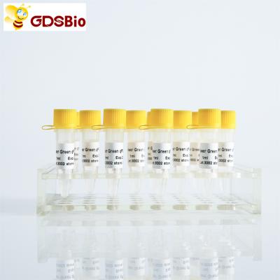 Power Green QPCR Mix Low ROX+ for ABI roche Real Time PCR