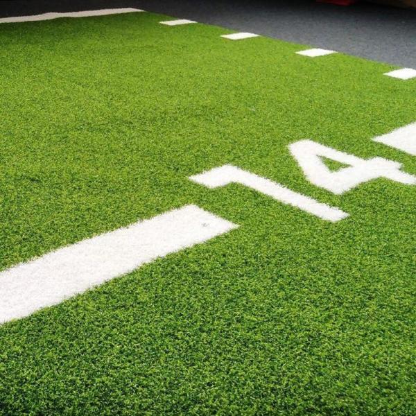 Comfortable Brown Synthetic Grass Sports Flooring for Garden Workout Bliss Gym Turf Mat