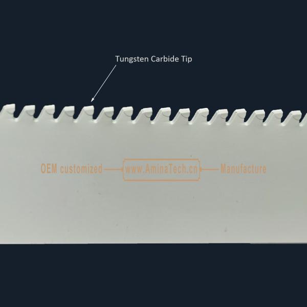 Tungsten Carbide Tipped Recipes Blade 9