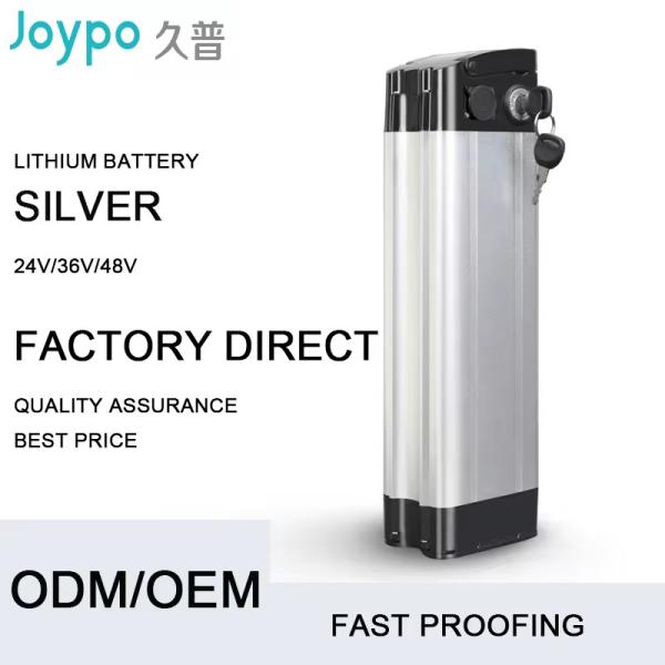 Rechargeable E Bike Electric Scooter Lithium Battery 48V 10Ah 12Ah 15Ah 20Ah 25.6Ah
