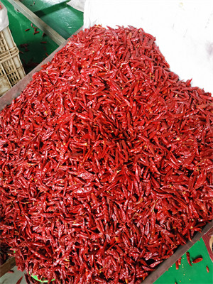 Stemless китайские высушенные перцы Chili 819 высоких SHU высушили горячие чили