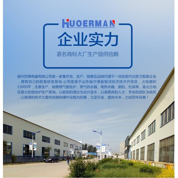 Waterproof Function Balance Exhaust Type Natural Wall Mounted Combi Gas Boiler Metal