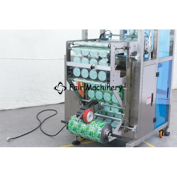 pó de lavagem 304 de aço inoxidável que desinfeta a máquina de embalagem do malote do pó