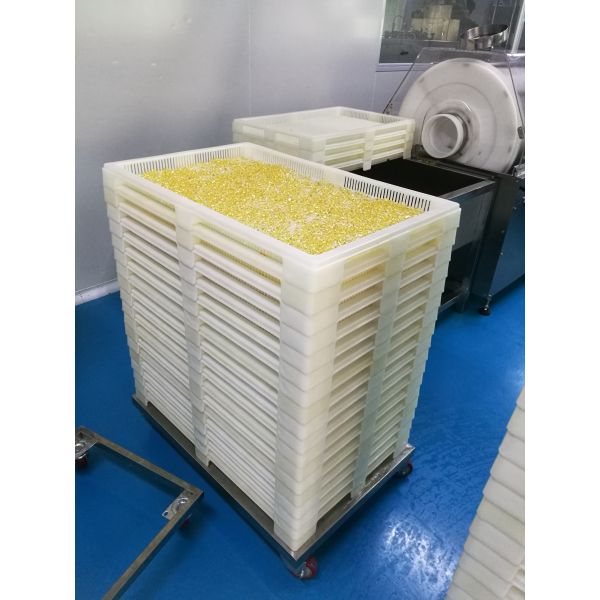 Food-Grade GMP Drying Tray & 304 Stainless Steel Transfer Cart