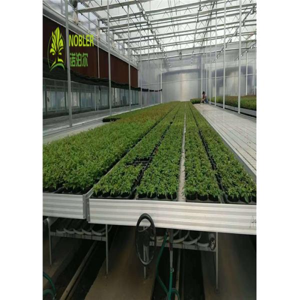 Сад Судов парника горячий гальванизированный засаживая таблицу растет кровать