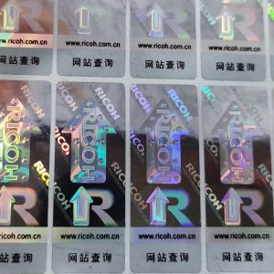 Offset Printing Holographic Security Stickers with Customized Logo on Vinyl
