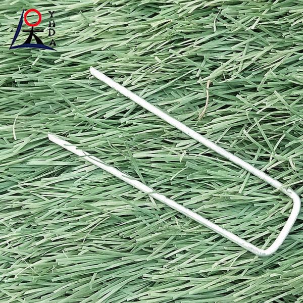 Free Sample Galvanized Artifical Grass Nails Ground Nails Type Of Soil
