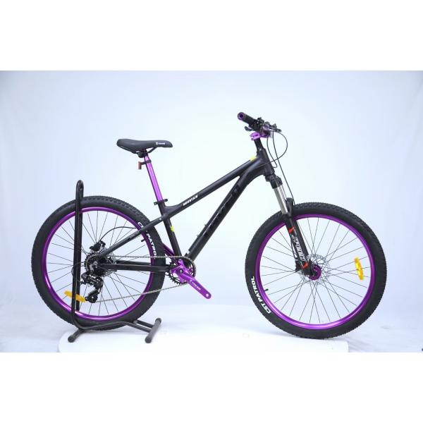 Experience the Freedom of Mountain Biking with Sports Mountain Bike 8/9 Speeds Dirt Jumper MTB