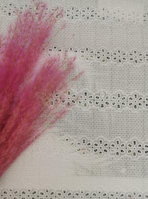 O Broderie linear bordado provê a tela 100% da camiseta do algodão da tela