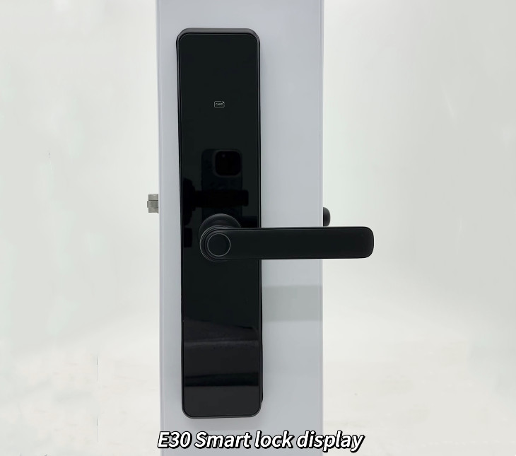 Tuya Ttlock Биометрический умный дверной замок Tuya TTlock Безопасный Wi-Fi цифровой умный дверной замок