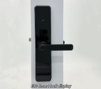 Tuya Ttlock Fermeture de porte intelligente biométrique Tuya TTlock Fermeture de porte intelligente numérique sécurisée Wifi