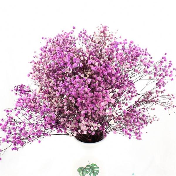 Decorações multicoloridos da tabela do casamento da respiração dos bebês secados bonitos das flores