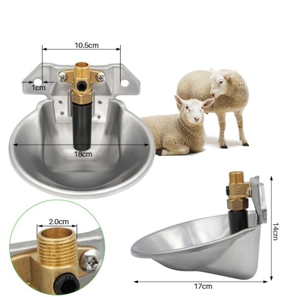 Stainless Steel Water Bowl