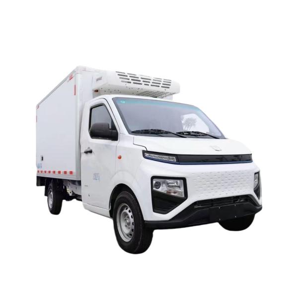 Geely F1E Pure Electric Refrigerated Box Truck Horsepower 150hp Small Freezer Trucks
