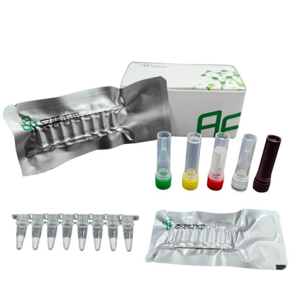 Room Temperature Mycobacterium Tuberculosis PCR Kit